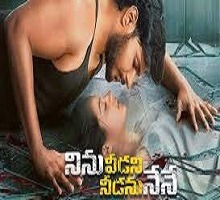 Ninu Veedani Needanu Nene Naa Songs