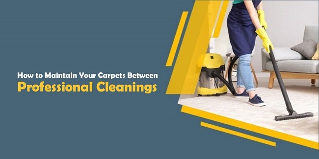 Carpets Between Professional Cleanings