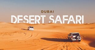 Embracing the Culture and Traditions of the Emirati People on a Dubai Desert Safari