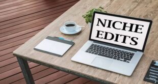 SEO With Niche Edit Link Building