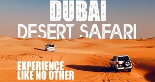 desert safari Dubai trip