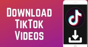 Download TikTok Videos for Free with SSSTIK