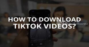 Download TikTok Videos for Free