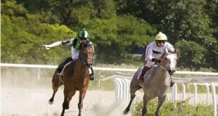 Horse Race Betting Handbook