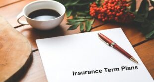 term insurance