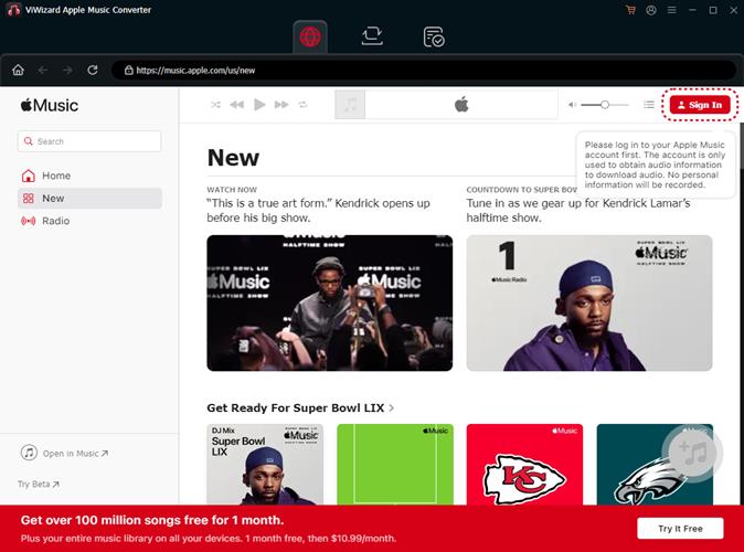 install ViWizard Apple Music Converters.jpg 